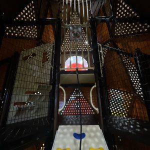 WhatsApp Image 2025-04-16 at 12.17.33 (1)